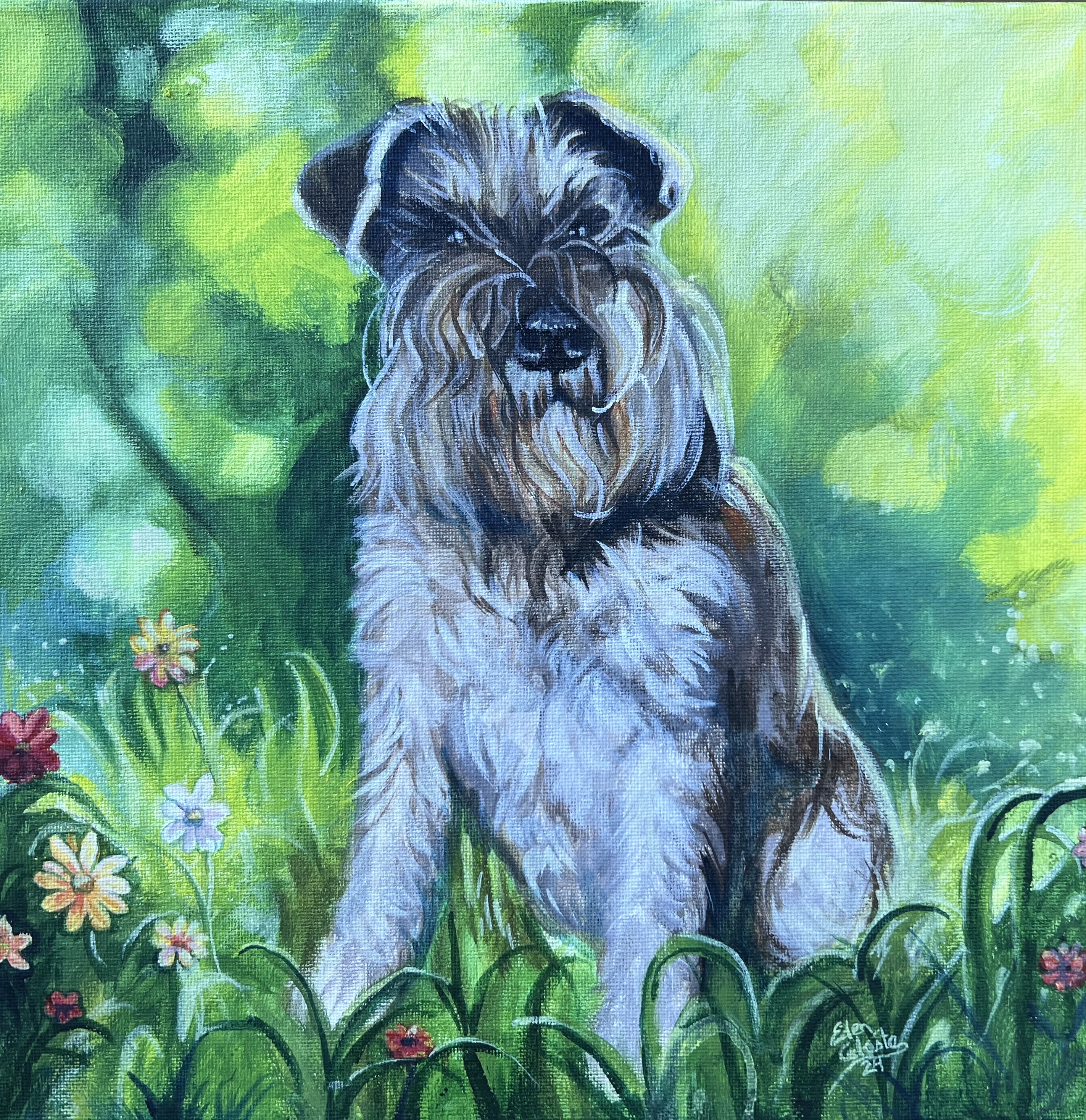 Portrait of a Schnauzer Dog